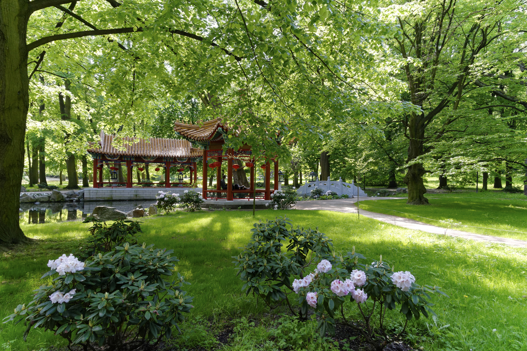 20160509-153148••SrodmieScie•Masovian Voivodeship•Poland